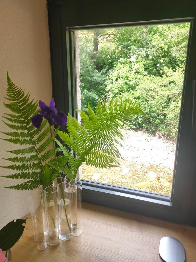 וילפור Le Secret Du Moulin, Agreable Tiny House Villefort מראה חיצוני תמונה